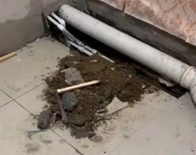 仪征卫生间漏水检测哪家好